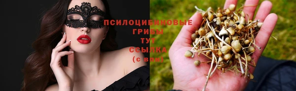 гидра Арсеньев