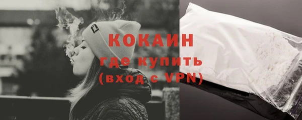 гидра Арсеньев