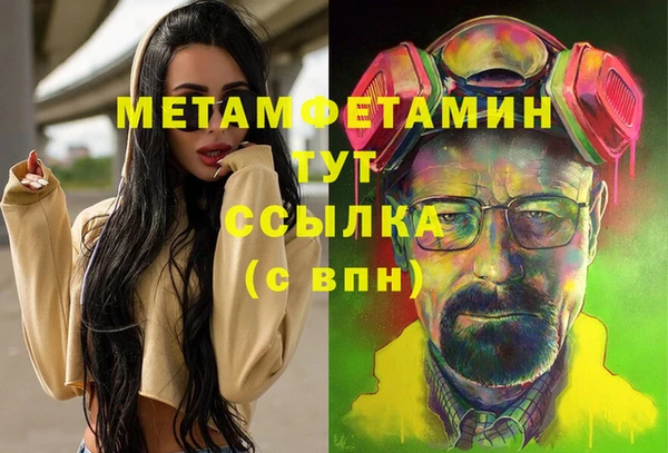 гидра Арсеньев