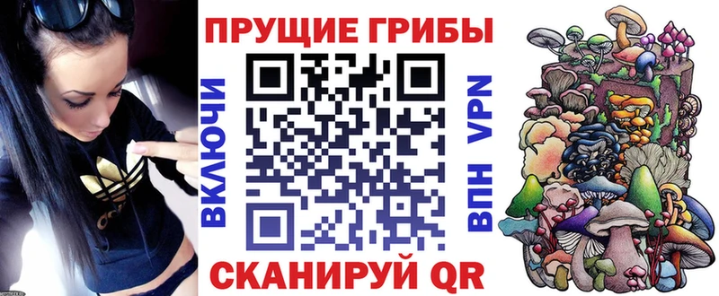 цены наркотик  Асино  Псилоцибиновые грибы Psilocybe 